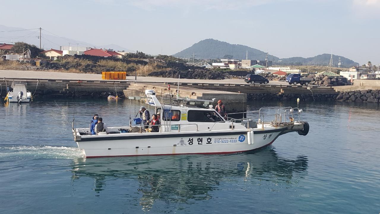 펜션 하니 하우스 제주